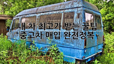 내 차 최고가 받는 꿀팁🍯 중고차 매입 완전정복!