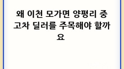 이천 모가면 양평리 중고차 딜러 추천! ✨ 꼼꼼 비교 & 후기